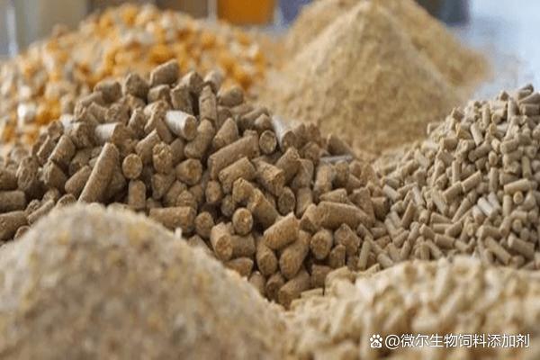 育肥羊应该如何选择饲料和饲料添加剂?